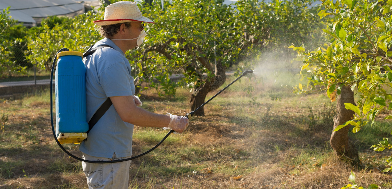 Operai agricoli CREA